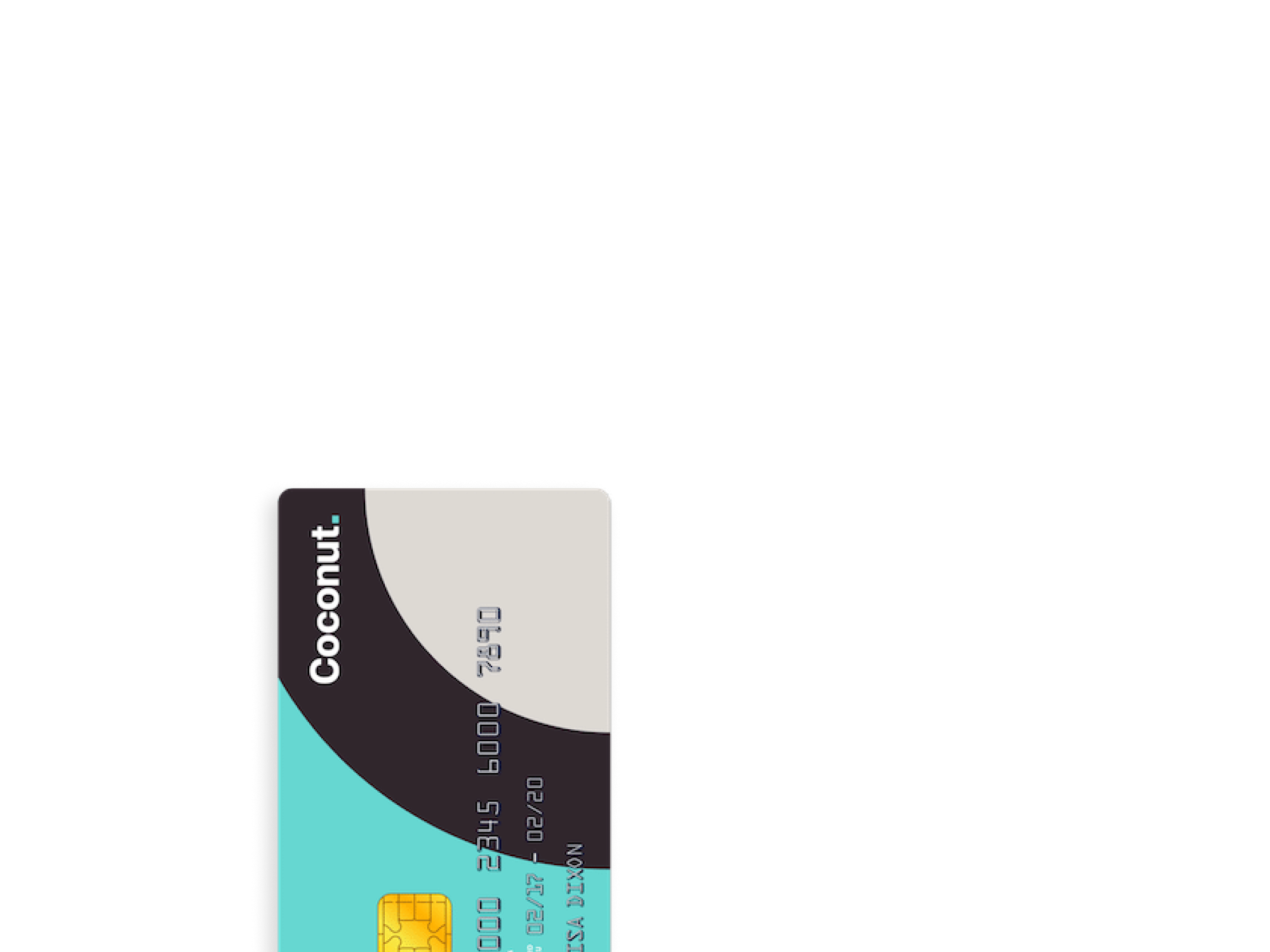 Coconut app interface